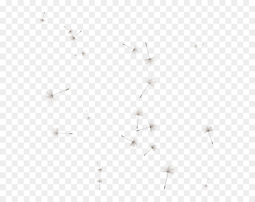 Dandelion Png Image - Transparent Background Dandelion Seeds Png, Png Download - taylor momsen png