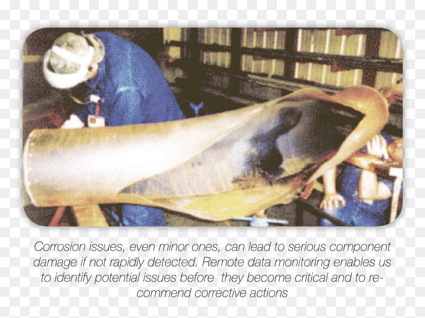 Marine Mammal, HD Png Download - water steam png