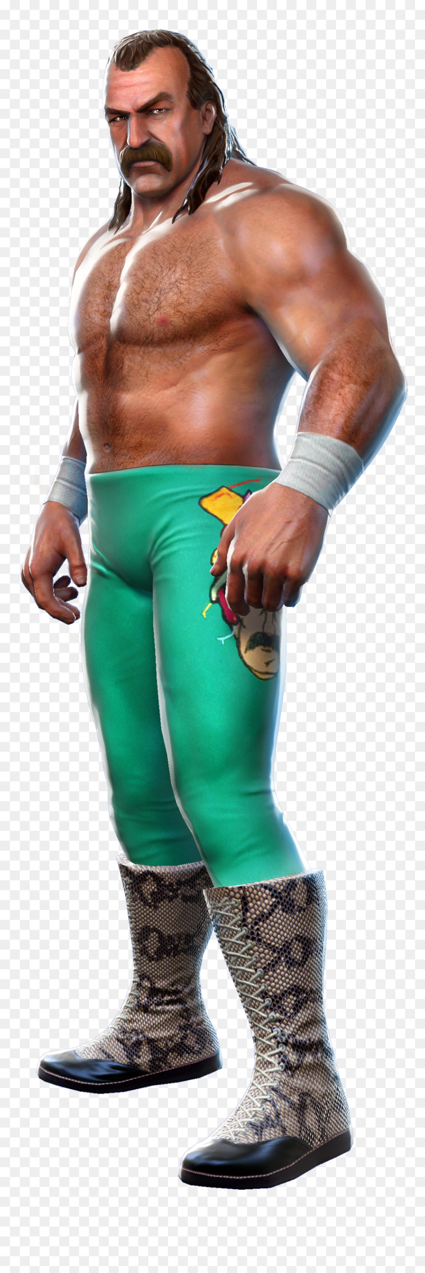 Jake The Snake Wwe Wrestler, HD Png Download - miz png
