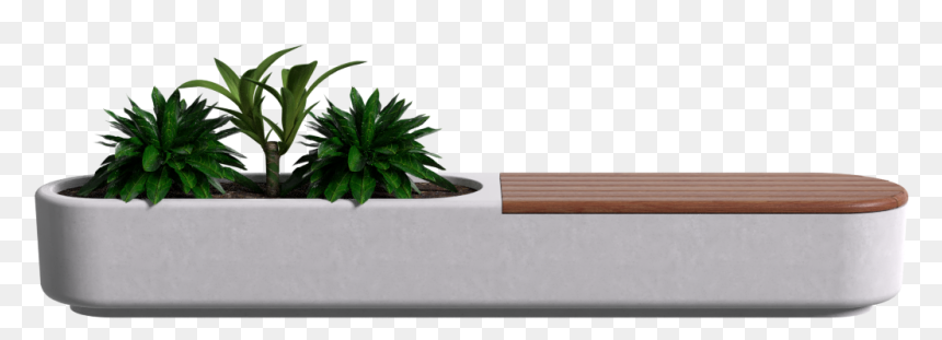 Houseplant, HD Png Download - planters png