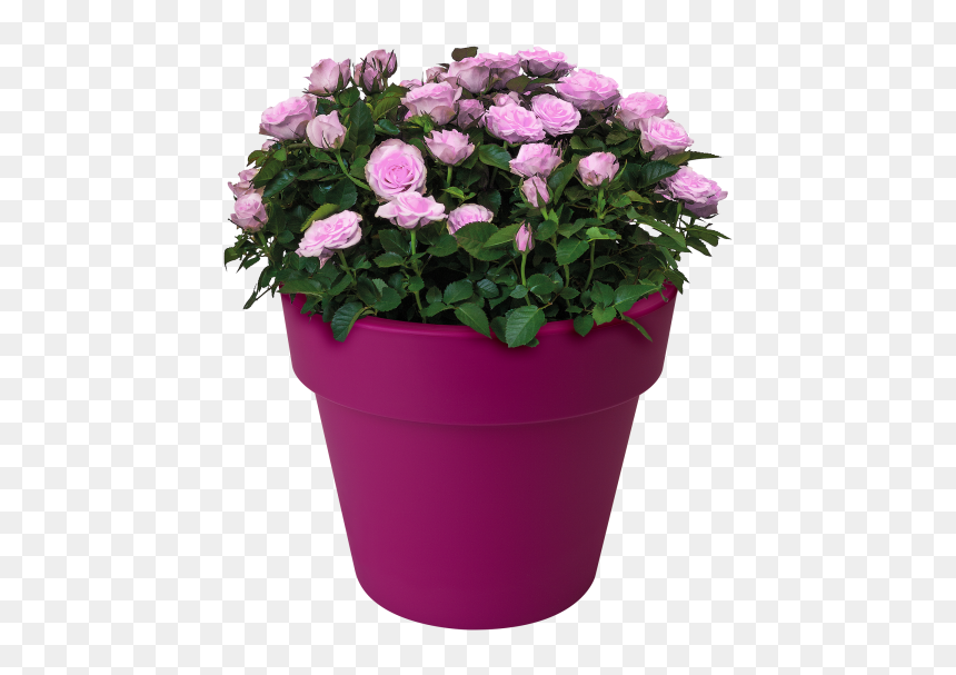 Planter With Flower Hd, HD Png Download - planters png