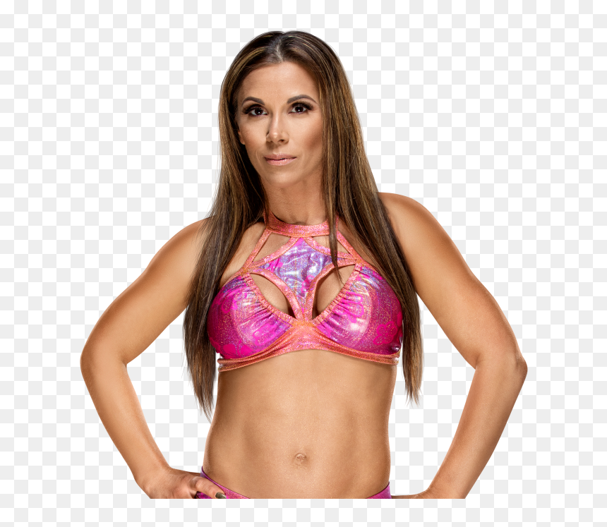 Y Jfan S Content Ewb Vi - Mickie James Raw Women's Champion, HD Png Download - wwe charlotte png