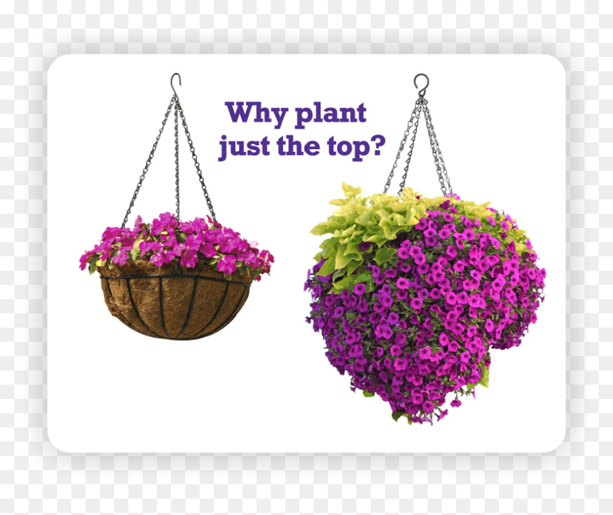 Flower Globe Hanging Basket, HD Png Download - hanging flowers png