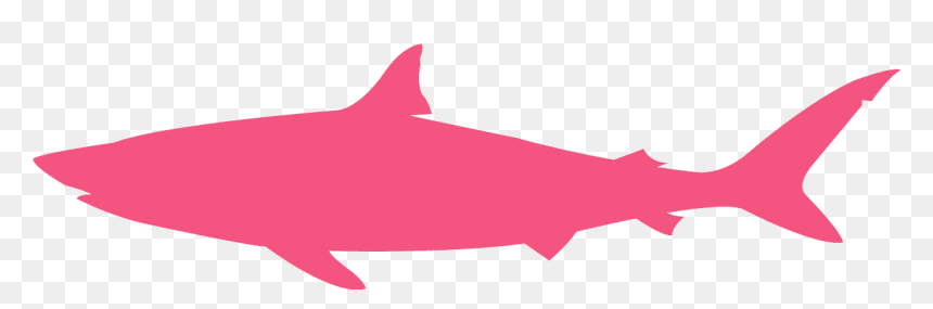 Bull Shark Silhouette, HD Png Download - shark silhouette png