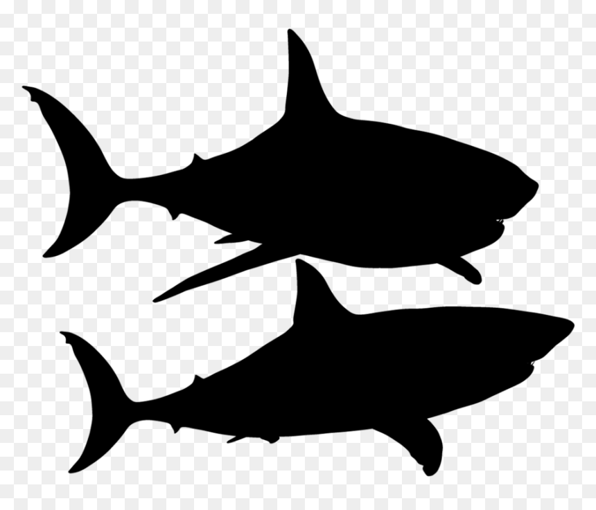 Shark Silhouette - High Resolution Sharks Hd, HD Png Download - shark silhouette png