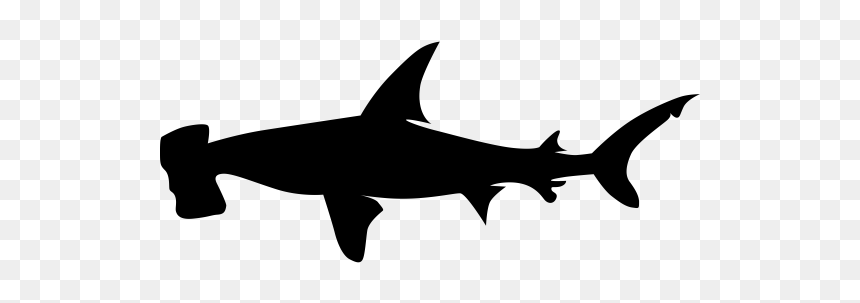 "
 Class="lazyload Lazyload Mirage Cloudzoom Featured - Hammerhead Shark Silhouette Png, Transparent Png - shark silhouette png