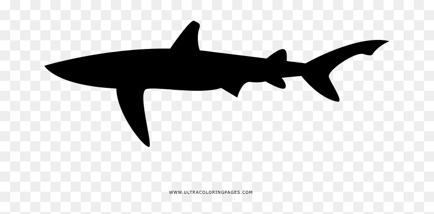Shark Coloring Page - Carcharhiniformes, HD Png Download - shark silhouette png