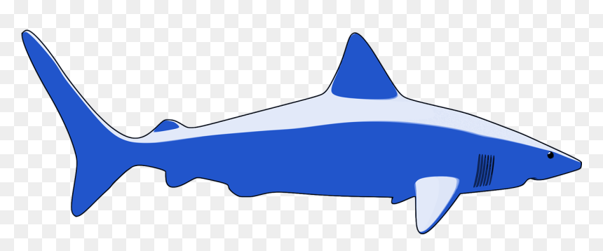 Shark, HD Png Download - shark silhouette png
