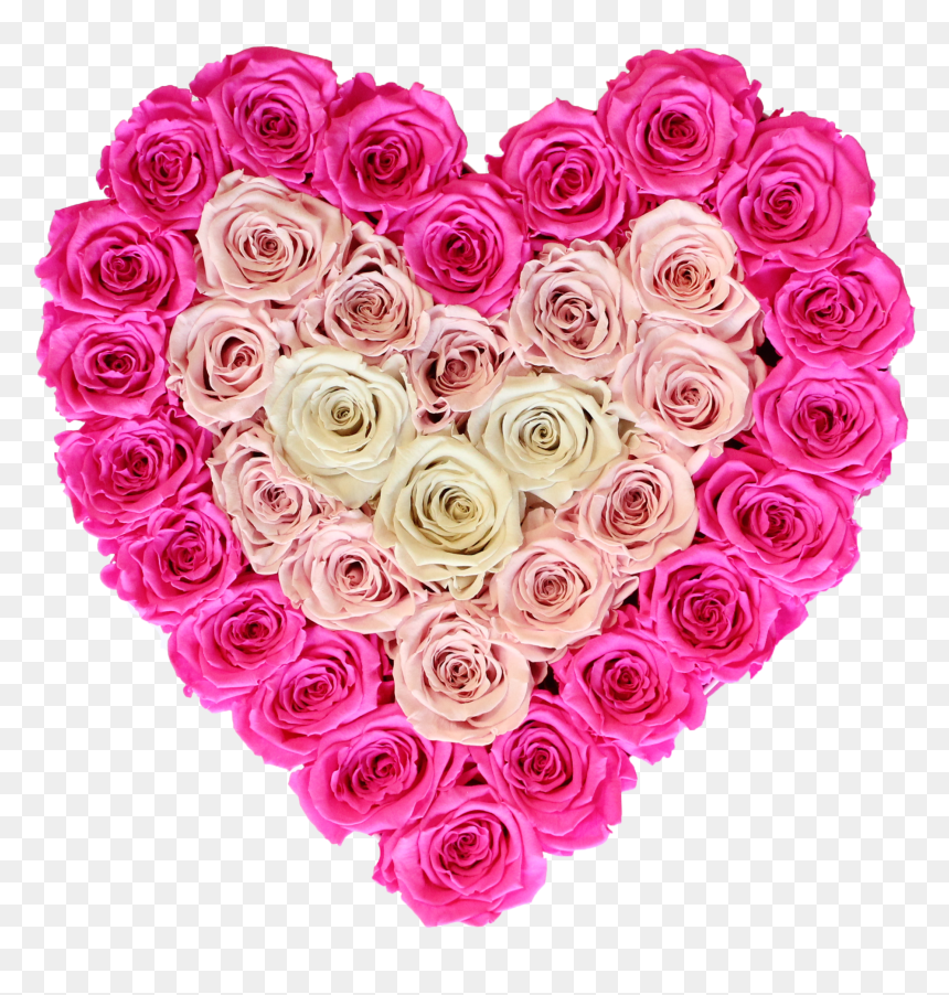 1 Monat Zusammen Sprüche, HD Png Download - rose heart png