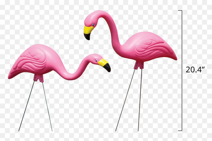 Flamingos In Pink - Flamingo Garden, HD Png Download - pink flamingo png