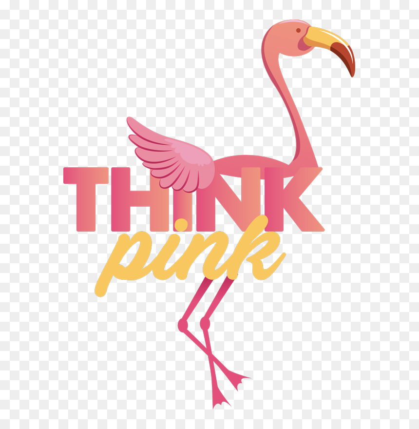 Greater Flamingo, HD Png Download - pink flamingo png