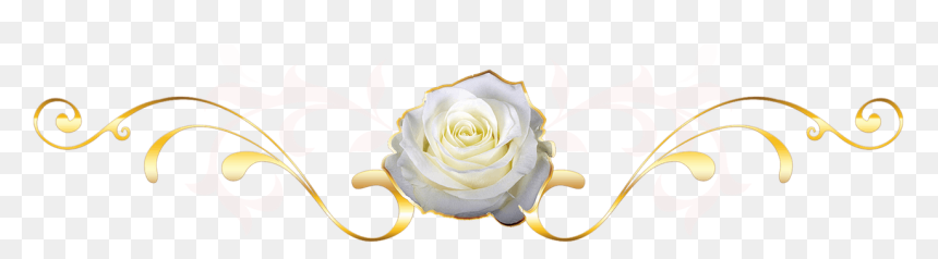 Garden Roses, HD Png Download - rose heart png