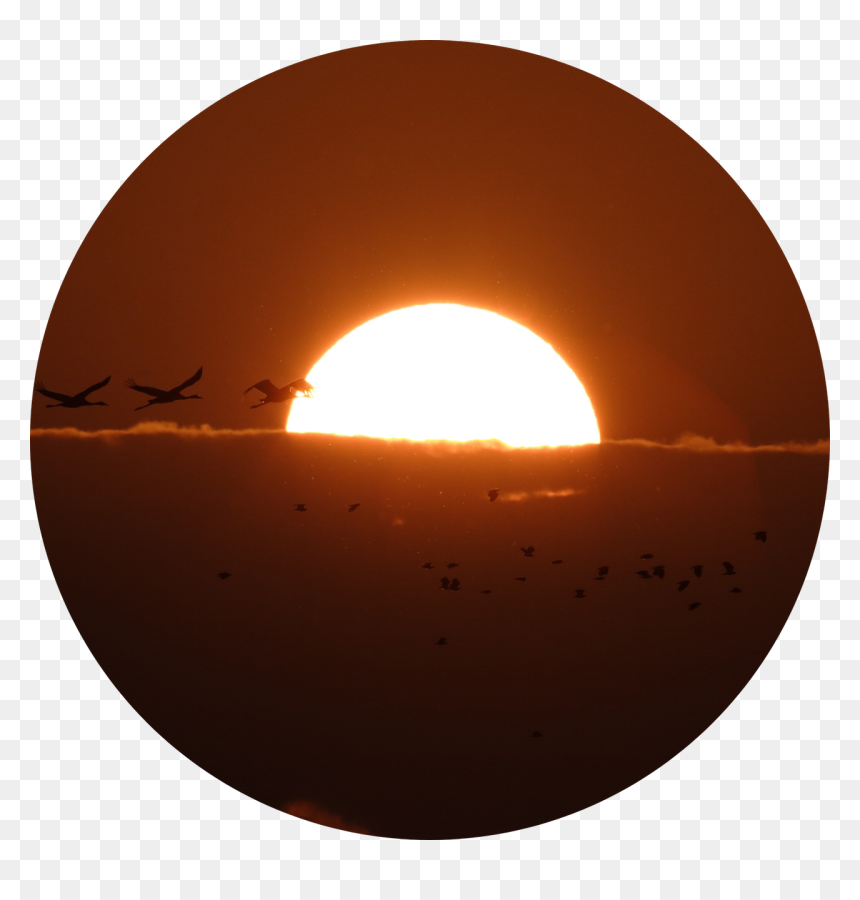 Circle, HD Png Download - sun outline png