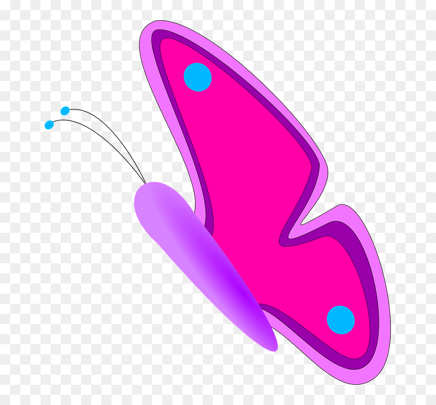 Butterfly 47 Flower Linkedin Valentine 555px - Butterfly Clip Art, HD Png Download - butterfly net png