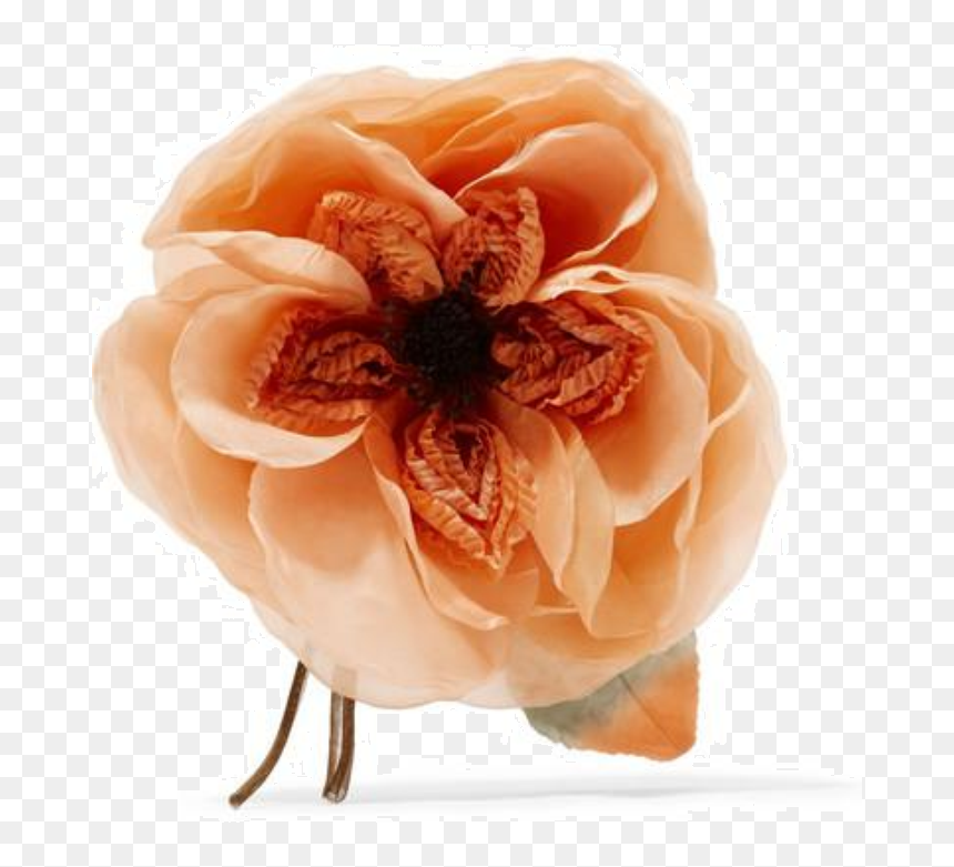 Peony , Png Download - Fleur Gucci Broche, Transparent Png - gucci pattern png