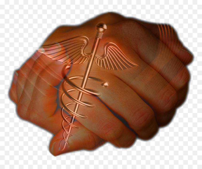 Saskatchewan"s Health Care Evolution Towards Medicare - Insect, HD Png Download - angry vein png