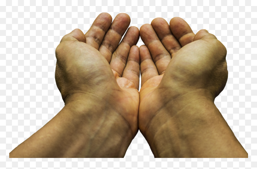 Begging Hands Png, Transparent Png - angry vein png