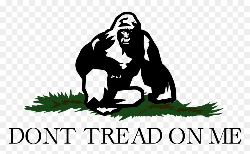 - Dont Tread On Me Snek , Png Download - Don T Thread On Me, Transparent Png - dont tread on me png