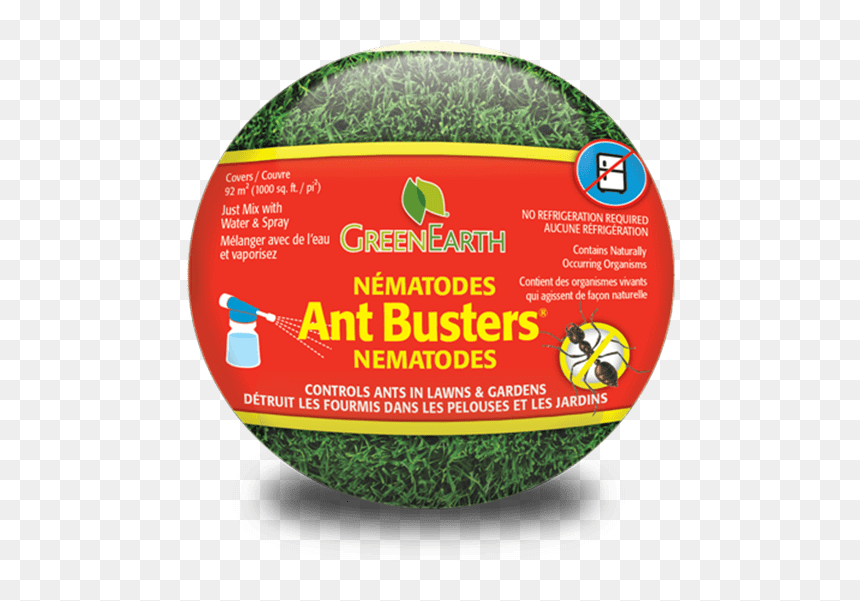 Green Earth Nematodes, HD Png Download - green earth png