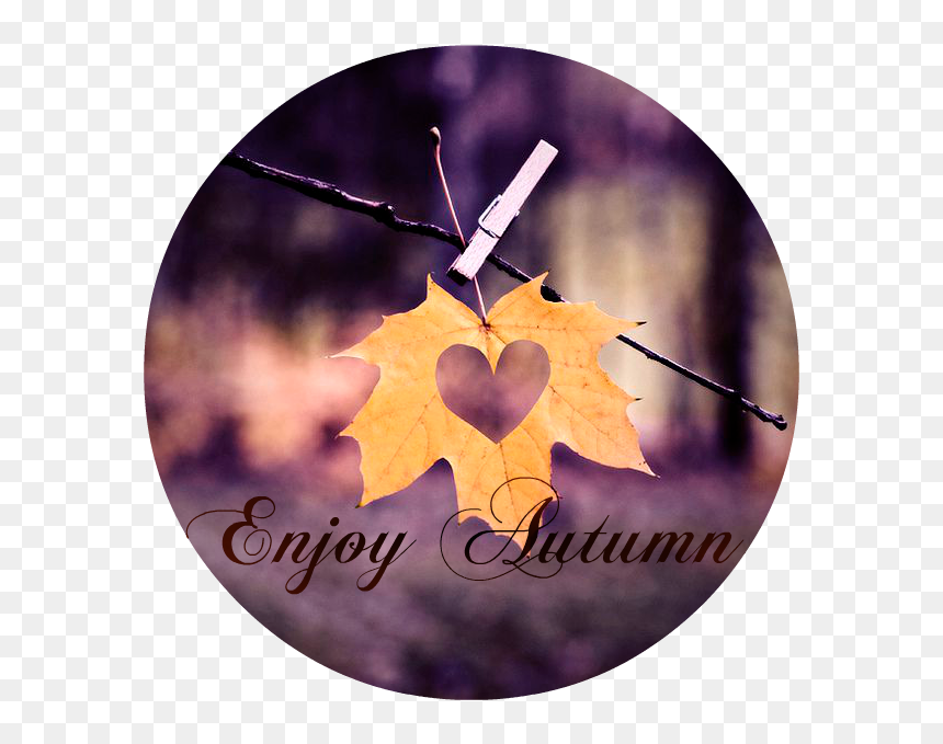 Happy Friday The Skylark Dream , Png Download - Life Starts All Over Again, Transparent Png - enjoy png