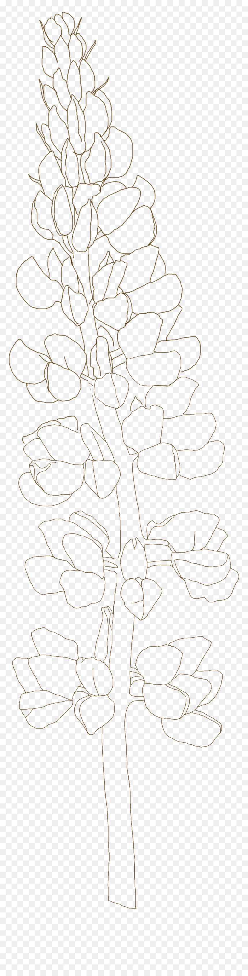 Blue Bonnet, HD Png Download - bluebonnet png
