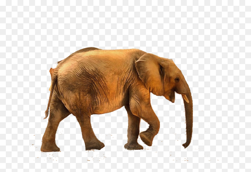 Animals With Low Sounds, HD Png Download - pokeball png transparent