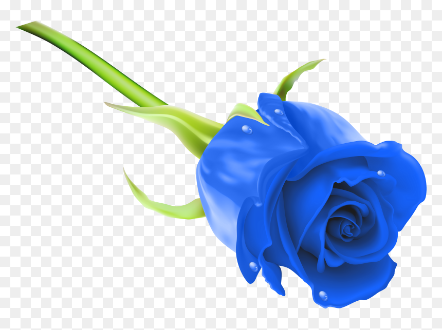 Blue Clip Art Roses - Pink Rose Image Hd, HD Png Download - rose clip art png