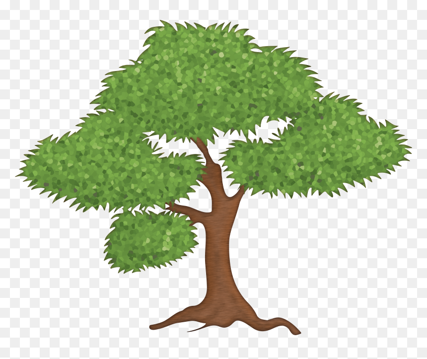 Green Tree Png Clipart, Transparent Png - tree root png