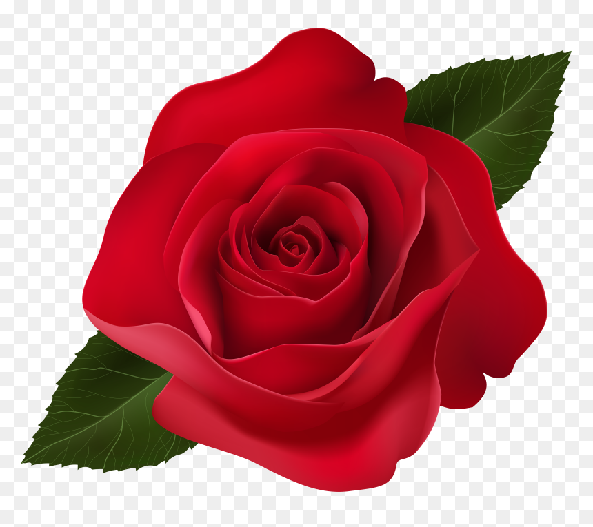 Red Rose Clip Art Png Image , Png Download, Transparent Png - rose clip art png