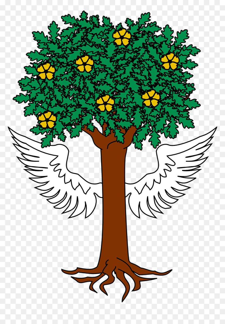 Escudo Del Apellido Ibarra, HD Png Download - tree root png