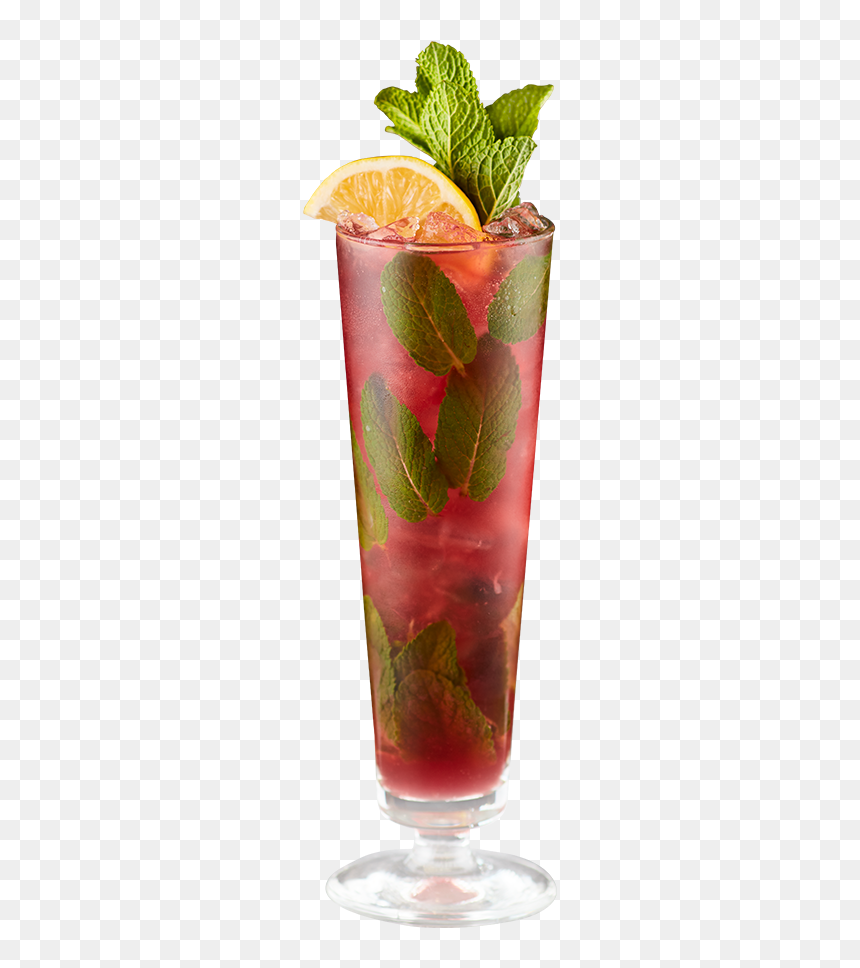 Fizz, HD Png Download - garnish png