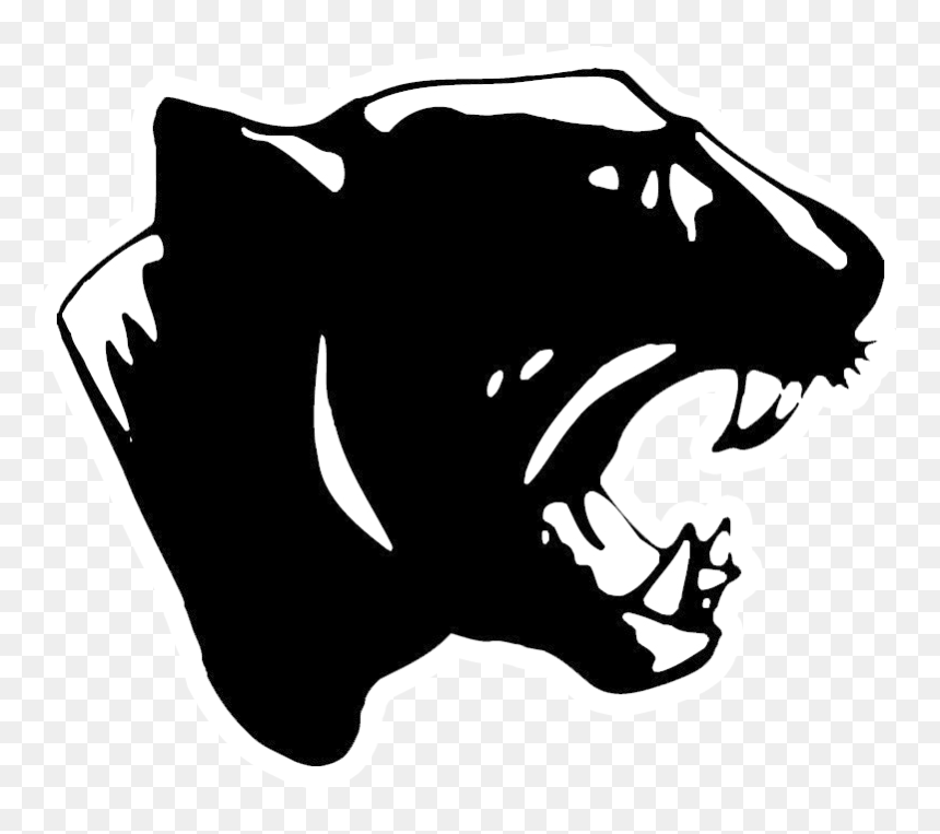 School Logo - Aransas Pass Panthers Logo, HD Png Download - panthers helmet png