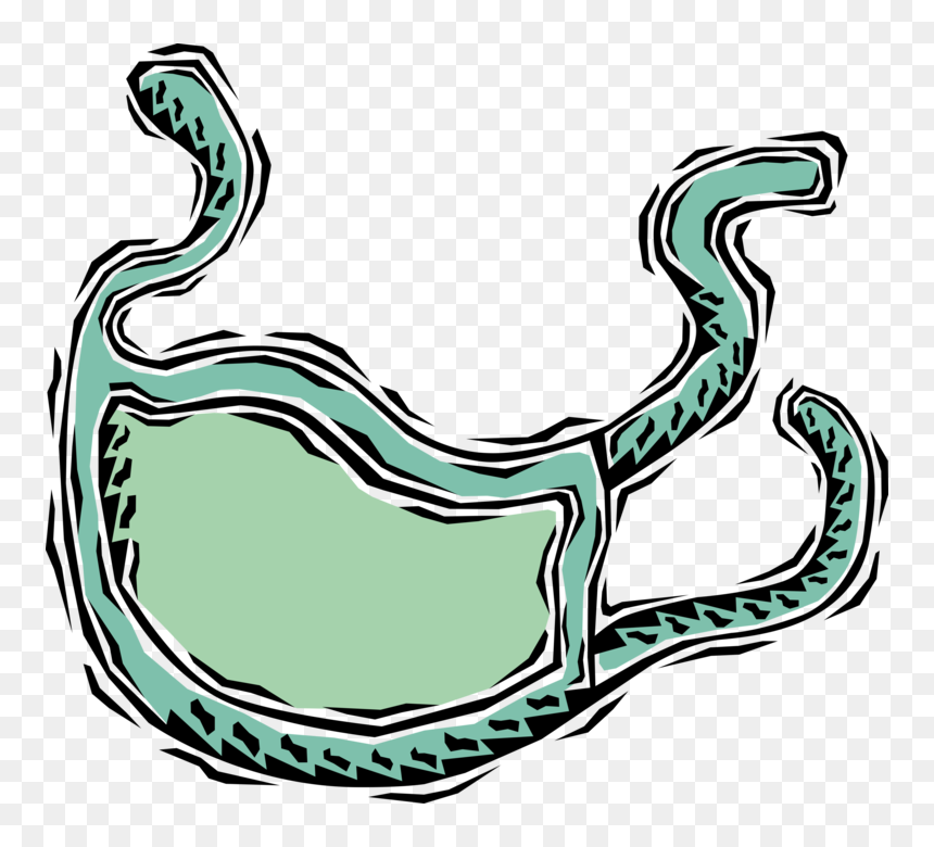 Vector Illustration Of Health Care Professional Doctor, HD Png Download - surgical mask png