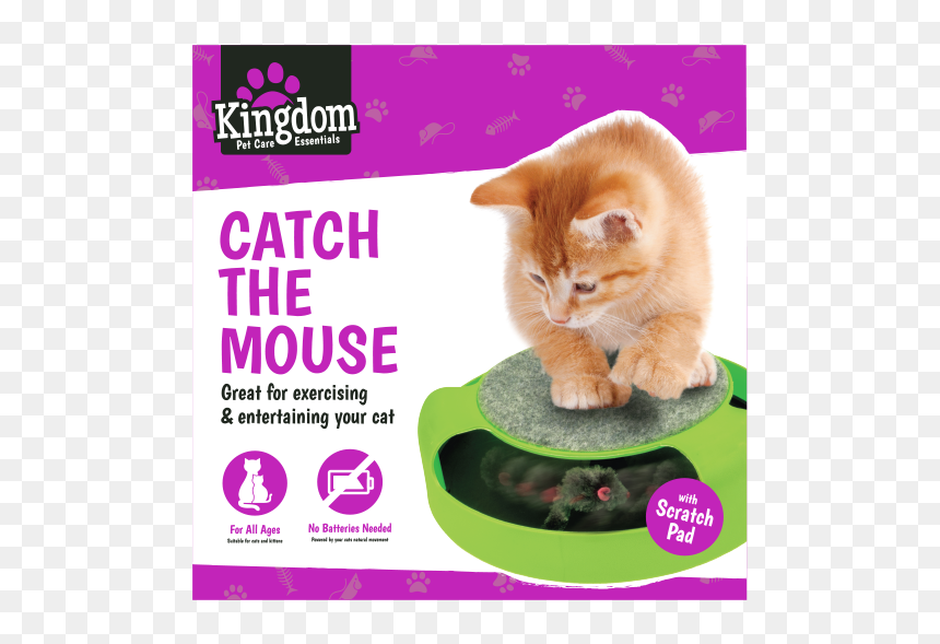 Catch The Mouse Cat Toy - Cat Grabs Treat, HD Png Download - cat toy png