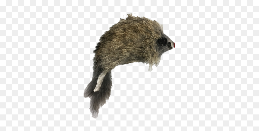 Go Cat Long Haired Mouse Cat Toy"

 
 Data Rimg="lazy"
 - Punxsutawney Phil, HD Png Download - cat toy png