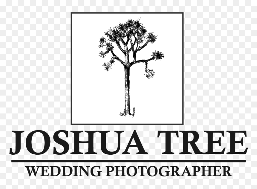 Love, HD Png Download - joshua tree png