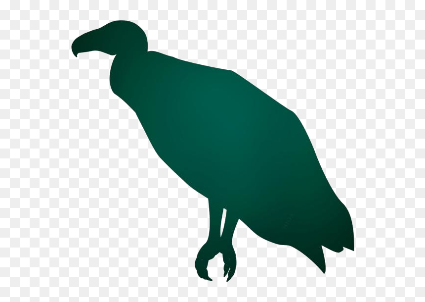 Turkey Vulture Png Silhouette Transparent Background - Phasianidae, Png Download - turkey silhouette png