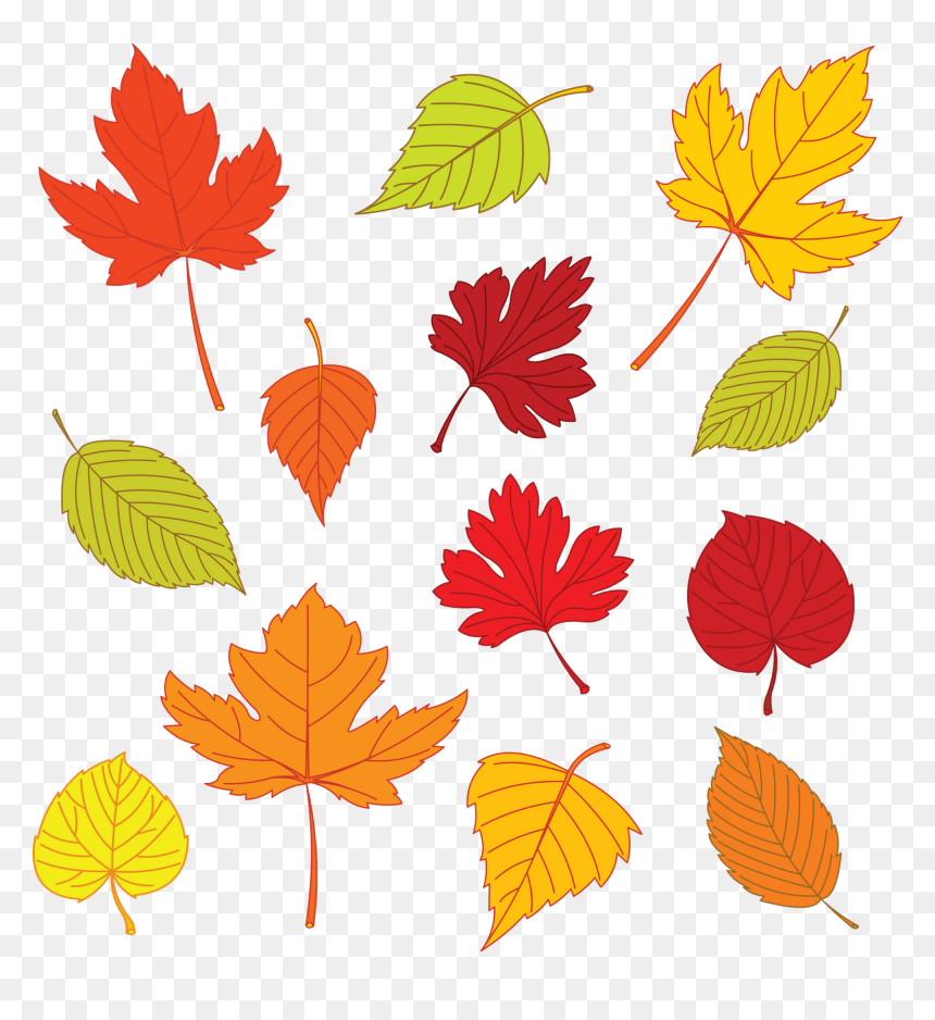 Leaf Drawing Background, HD Png Download - thanksgiving background png
