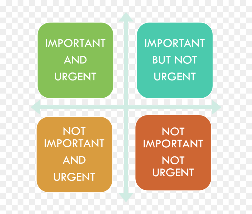 Eisenhower Time Management Grid Important Urgent - Gus Van Sant 108 Portraits, HD Png Download - time management png