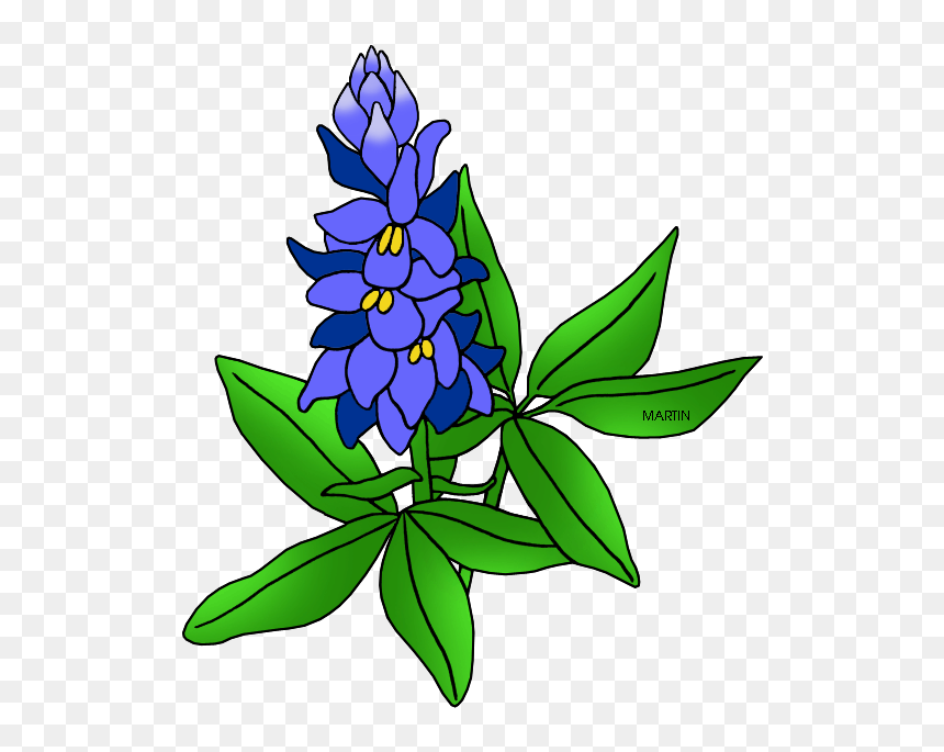United States Clip Art By Phillip Martin, Texas State - Bluebonnet Clipart, HD Png Download - state of texas outline png