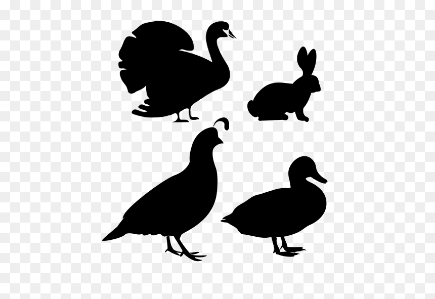 Duck, HD Png Download - turkey silhouette png