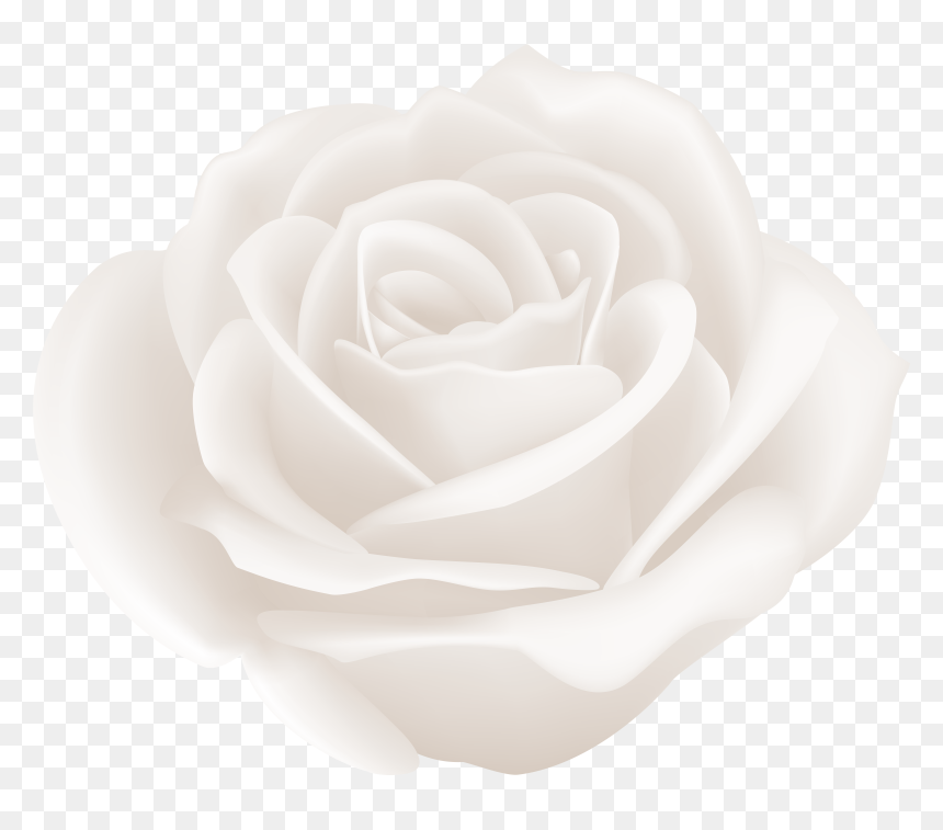 White Roses Clipart, HD Png Download - roses clipart png