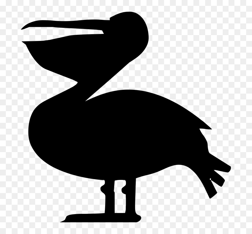 Silhouette, Bird, Nature, Dark - Turkey, HD Png Download - turkey silhouette png
