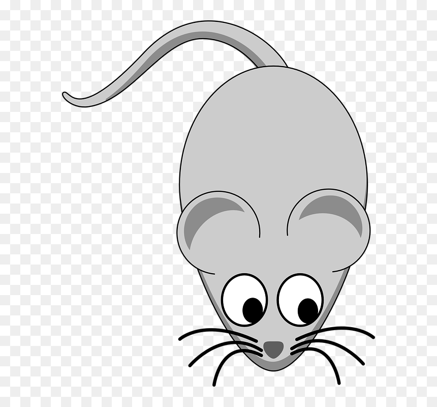 Mice Clipart Pet - Free Clipart Of A Mouse, HD Png Download - mouse clipart png