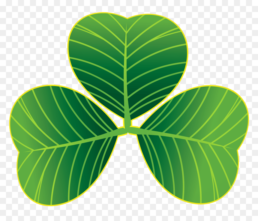 St Patricks Day Shamrocks Png Clipart - Saint Patrick, Transparent Png - st patricks day border png