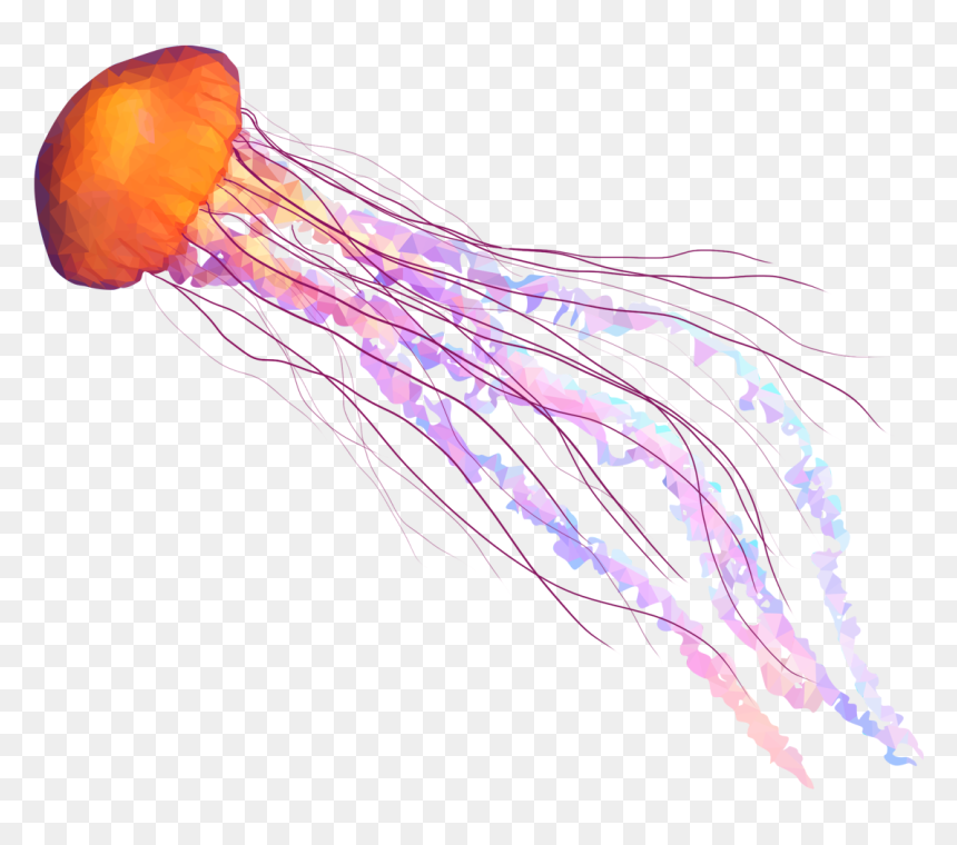 Jellyfish Png - Transparent Background Jellyfish Png, Png Download - jelly fish png