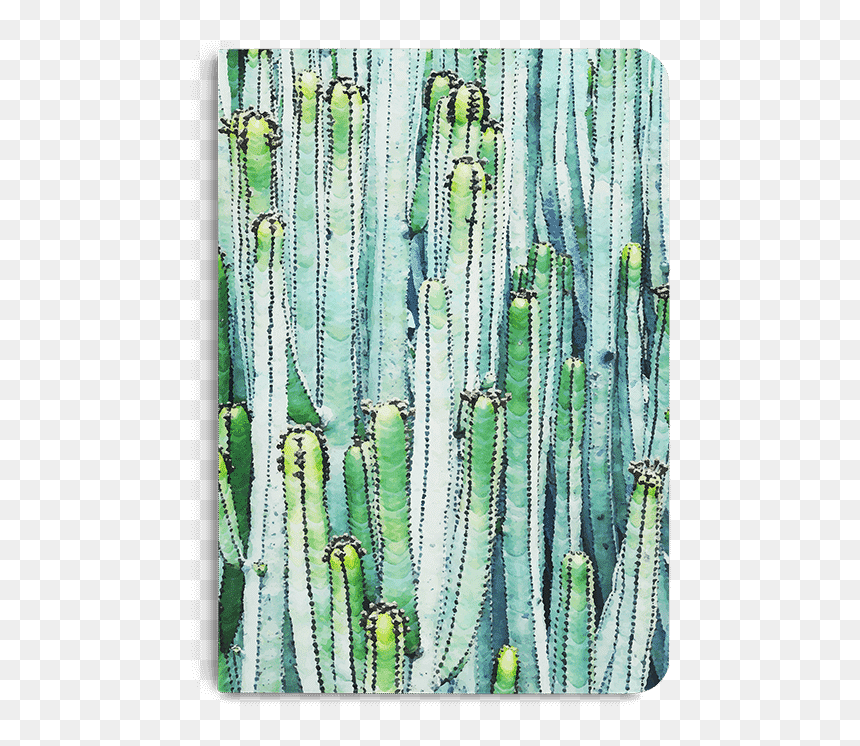 Bead, HD Png Download - watercolor cactus png