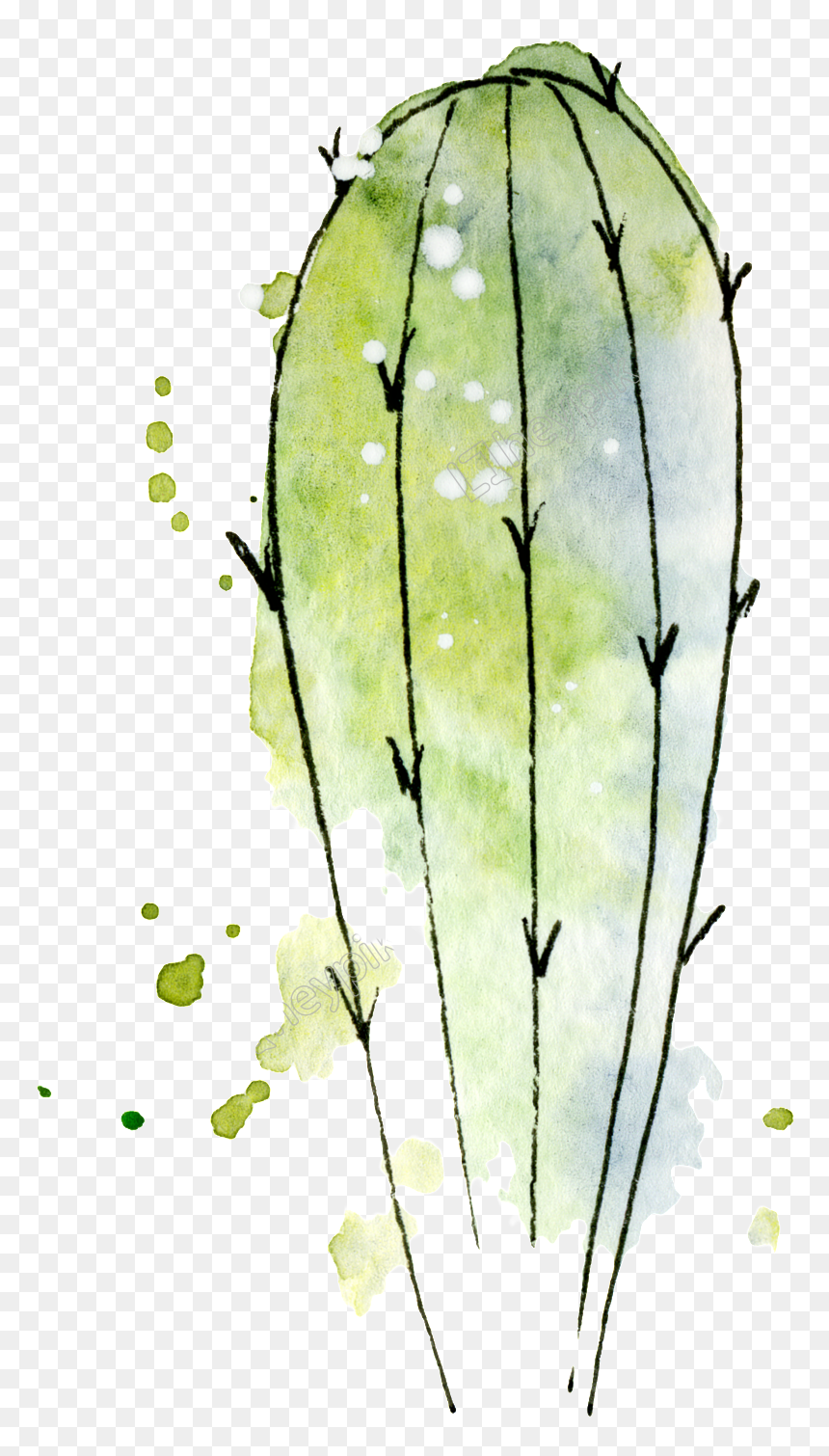 Transparent Watercolor Cactus Png - Watercolor Cactus Icon Png, Png Download - watercolor cactus png