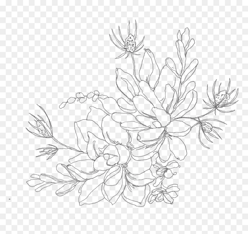 Succulant, HD Png Download - bohemian png