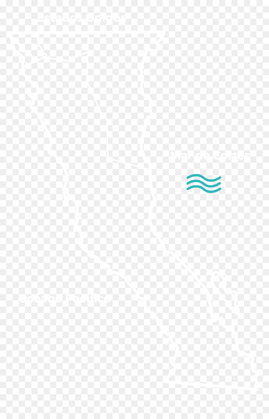 Pattern, HD Png Download - mar png